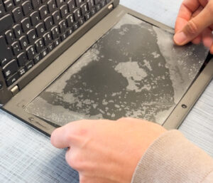 Display Film Training